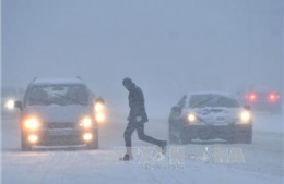  'Xứ sở Bạch Dương' trong khó khăn và thử thách